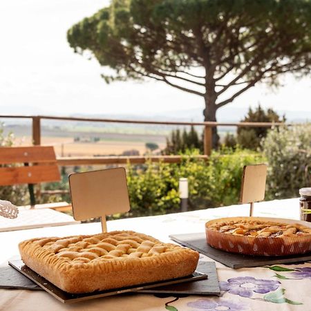 Appartamento La Casa Delle Rondini Forcoli Esterno foto