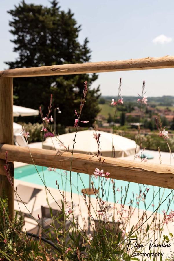 Appartamento La Casa Delle Rondini Forcoli Esterno foto