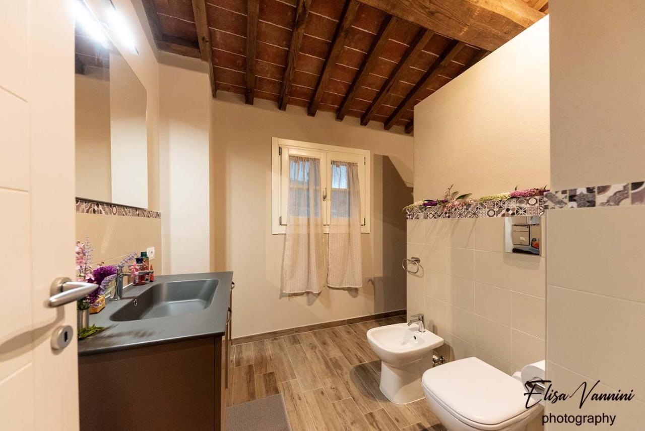 Appartamento La Casa Delle Rondini Forcoli Esterno foto