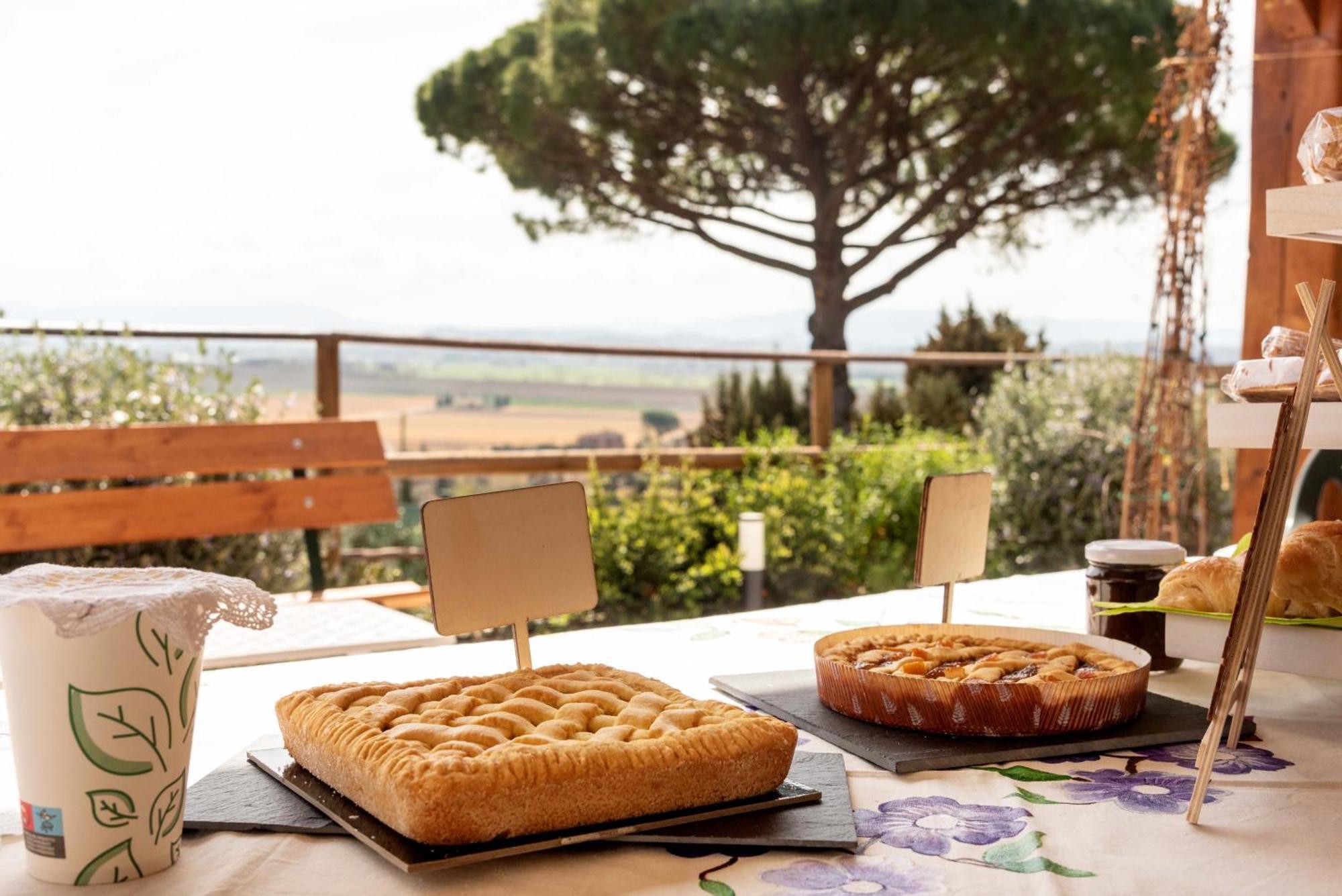 Appartamento La Casa Delle Rondini Forcoli Esterno foto